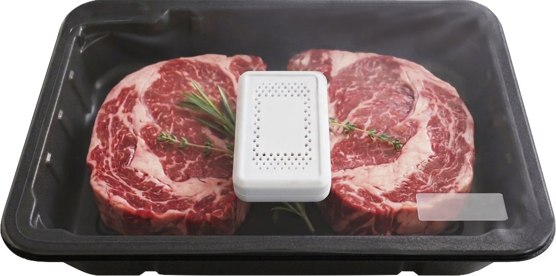 BearCub sensor inside food packaging